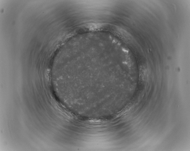 X0000070340650200607072014