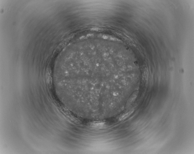 X0000070340651200607072014