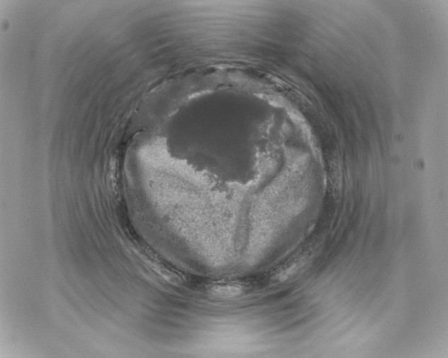 X0000070340653200607072014