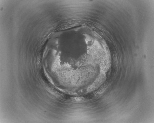 X0000070340654200607072014