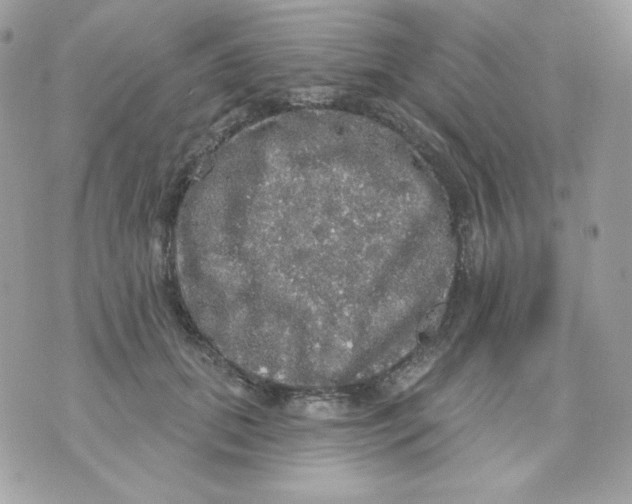 X0000070340655200607072014