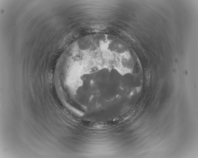 X0000070340657200607072014