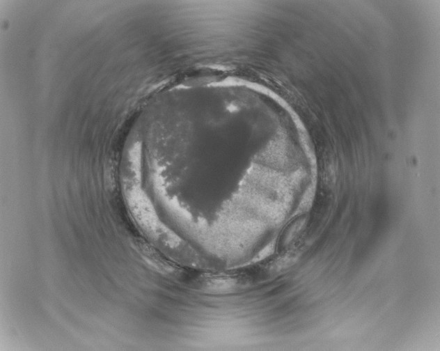 X0000070340658200607072014