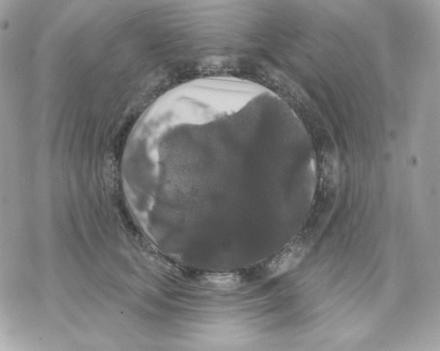 X0000070340659200607072014