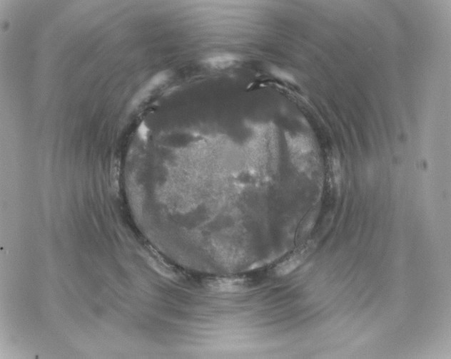 X0000070340664200607072014