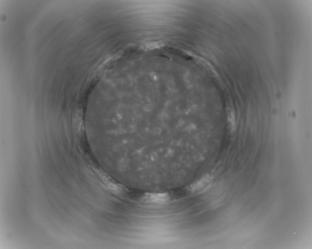 X0000070340665200607072014