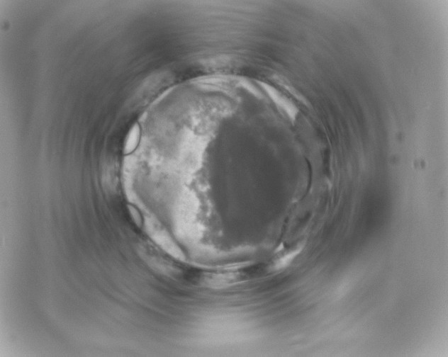 X0000070340671200607072014