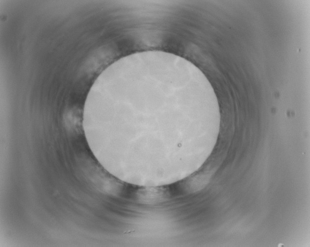 X0000070340672200607072014