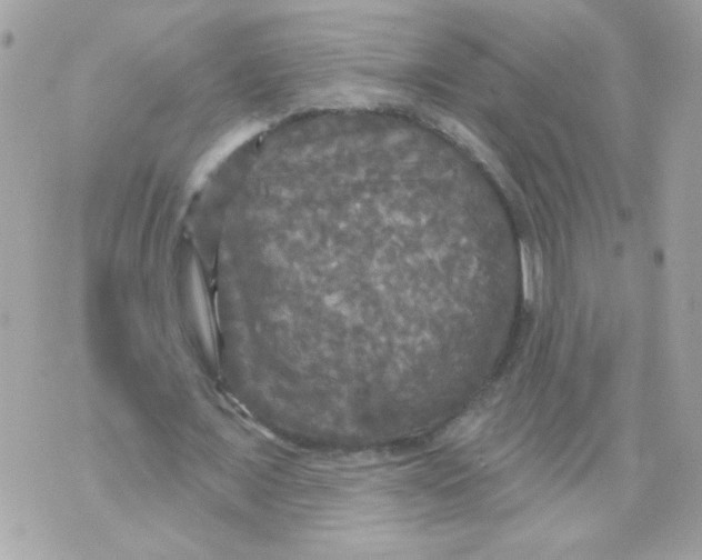 X0000070340675200607072013