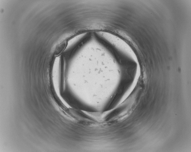 X0000070340677200607072013