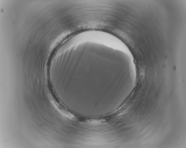 X0000070340678200607072013