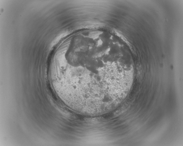 X0000070340679200607072013