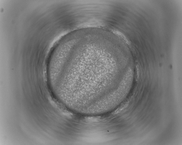 X0000070340680200607072013