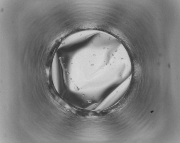 X0000070340681200607072013