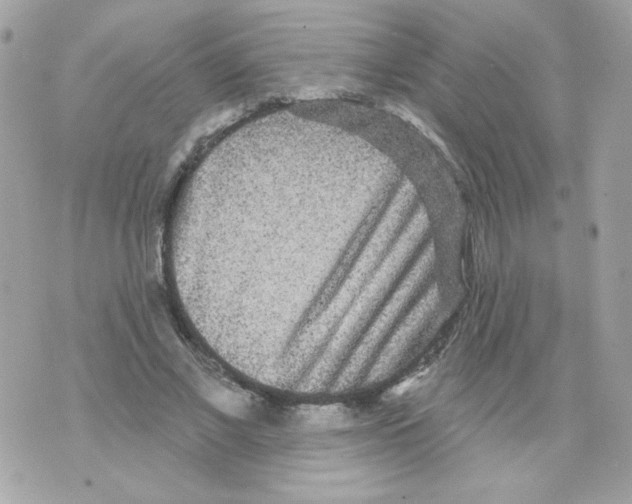 X0000070340685200607072013