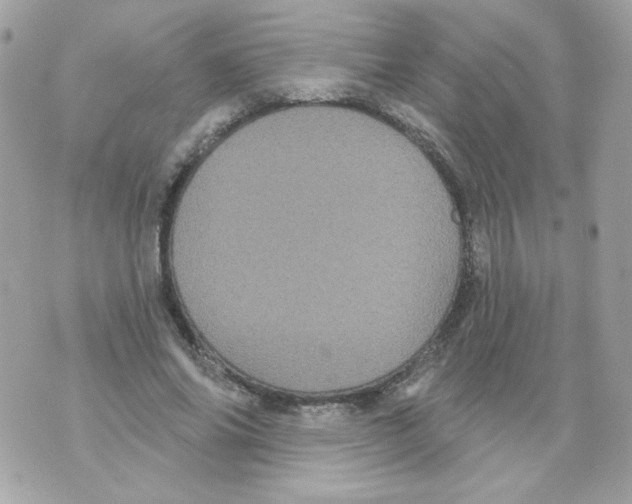 X0000070340686200607072013