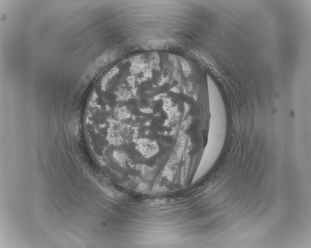 X0000070340687200607072013