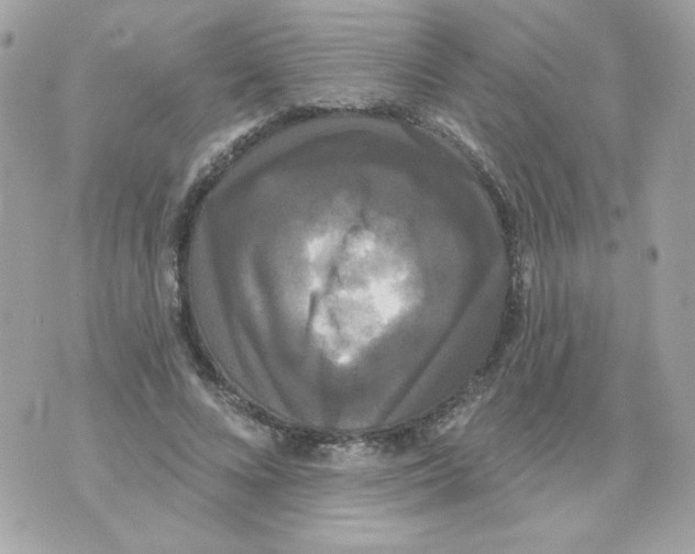 X0000070340688200607072013