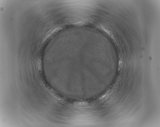 X0000070340689200607072013