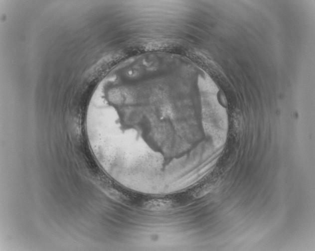 X0000070340691200607072013