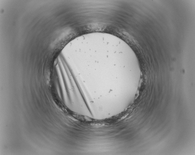 X0000070340693200607072013