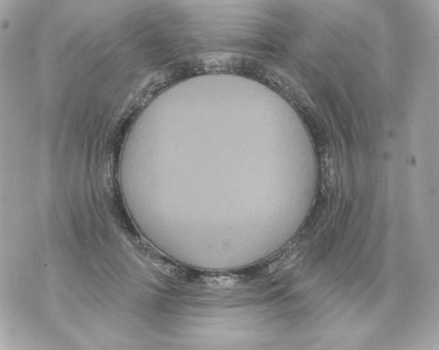 X0000070340698200607072013