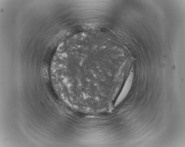 X0000070340699200607072013