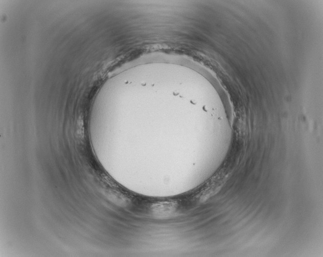 X0000070340700200607072013