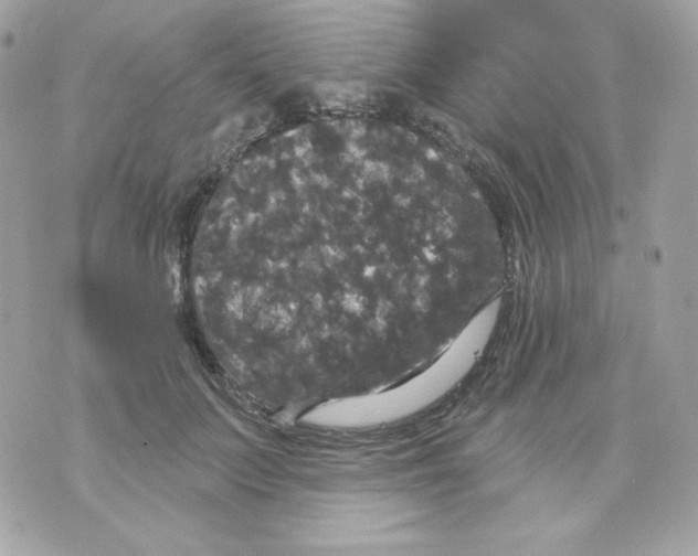 X0000070340703200607072013