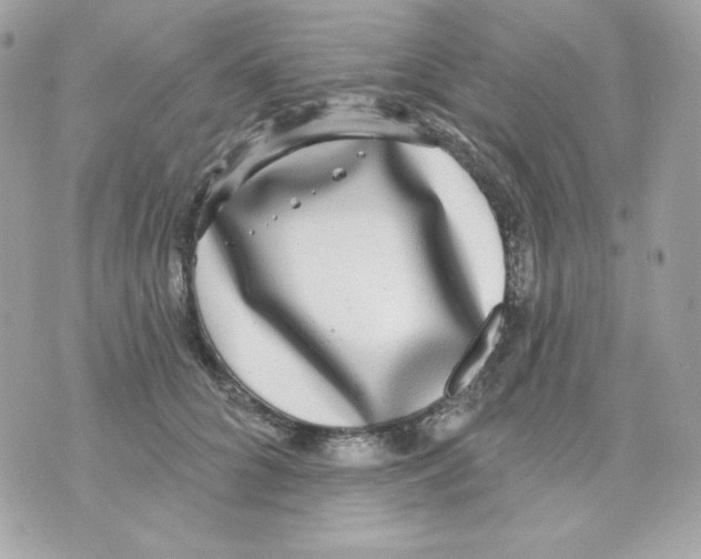 X0000070340704200607072013