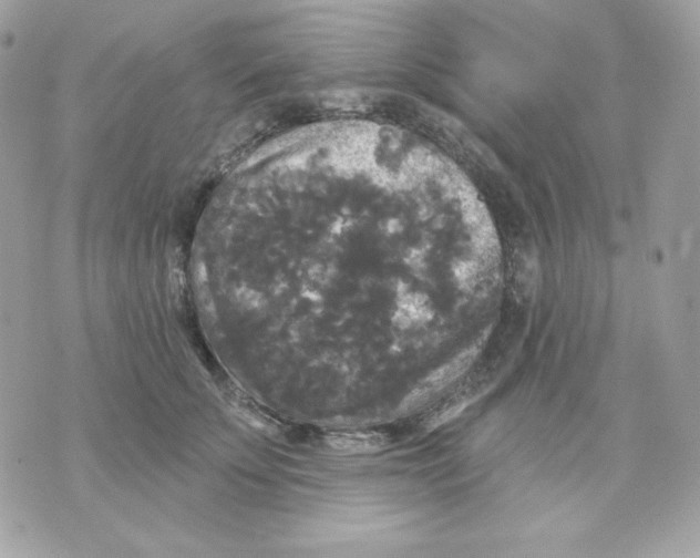 X0000070340707200607072013