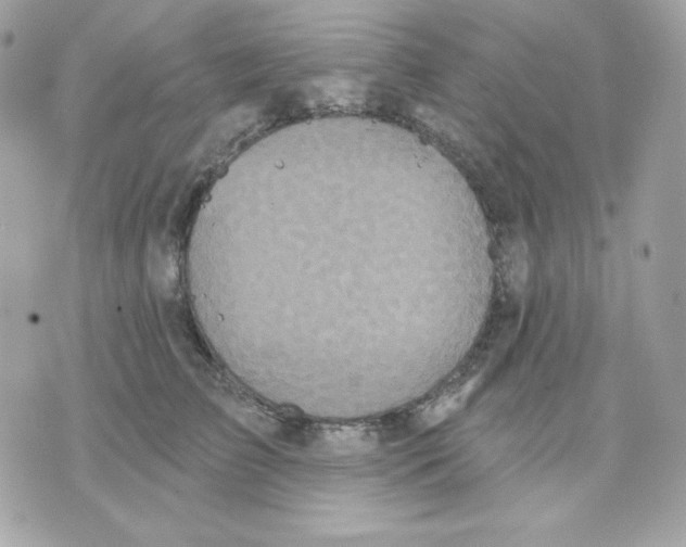 X0000070340709200607072013