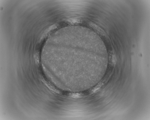 X0000070340710200607072013