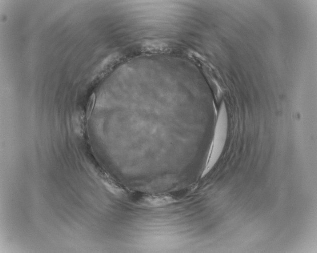 X0000070340712200607072013