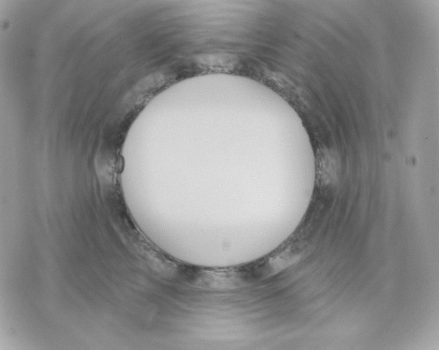 X0000070340713200607072013