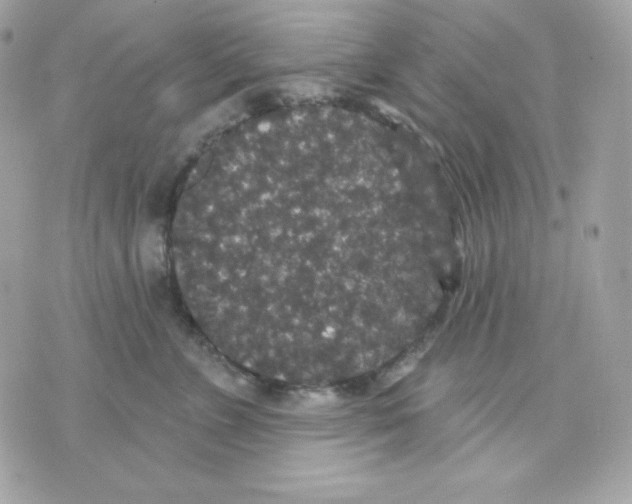 X0000070340715200607072013