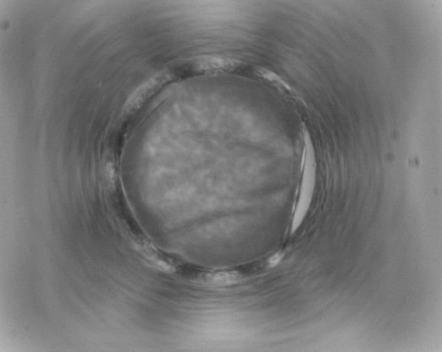 X0000070340716200607072013