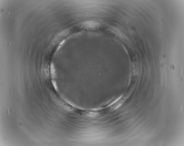 X0000070340718200607072013