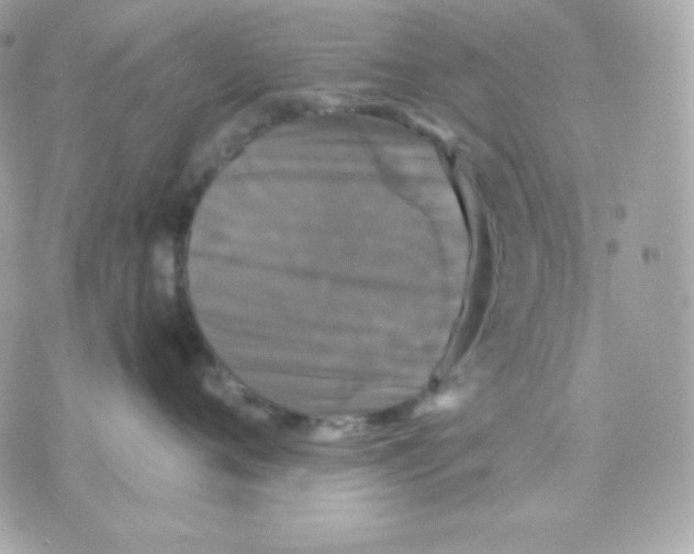 X0000070340720200607072013