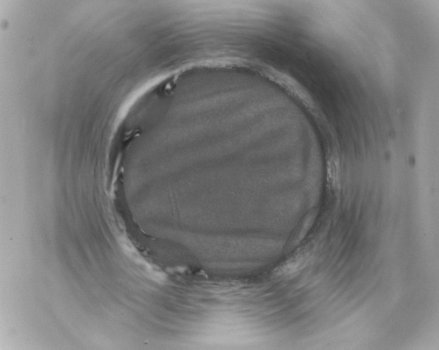 X0000070340724200607072012