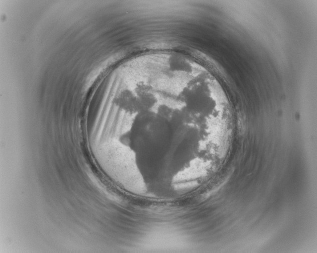 X0000070340725200607072012