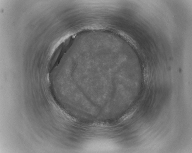 X0000070340727200607072012