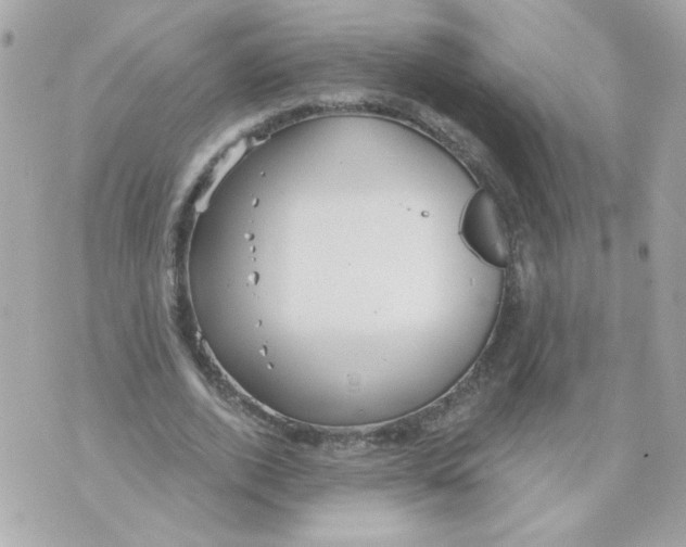 X0000070340728200607072012