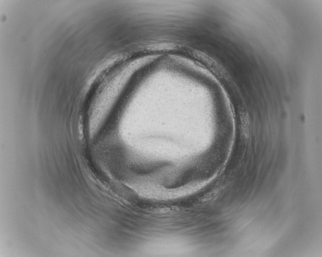 X0000070340731200607072012