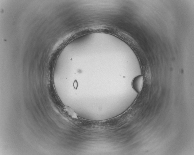 X0000070340732200607072012