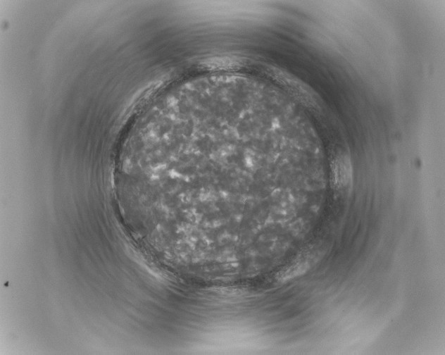 X0000070340733200607072012