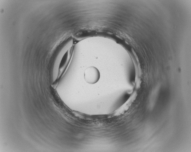 X0000070340735200607072012