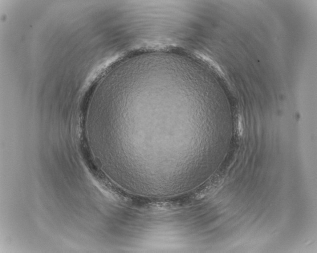 X0000070340736200607072012