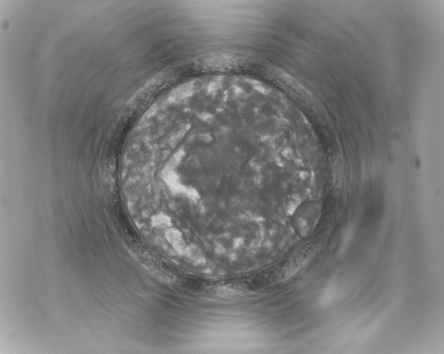 X0000070340737200607072012