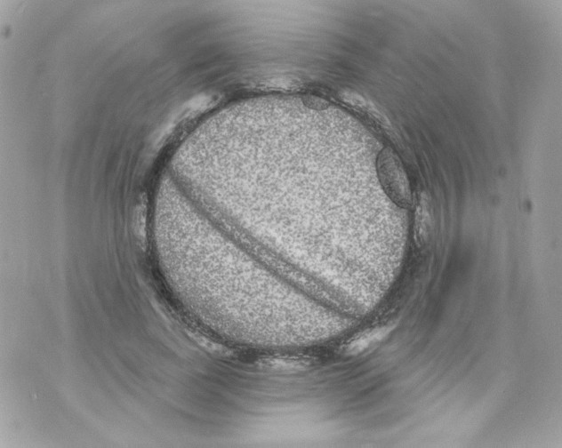 X0000070340739200607072012